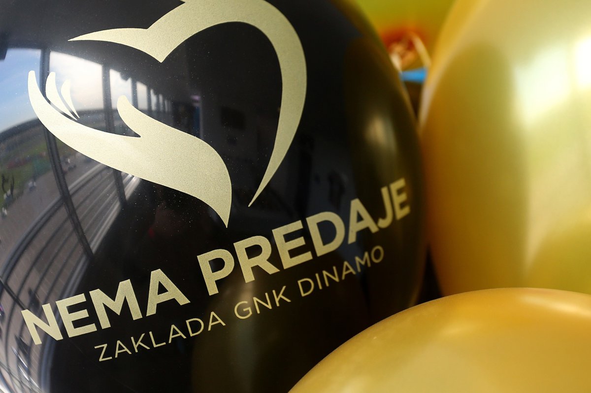 Završen natječaj Zaklade Nema predaje za udruge