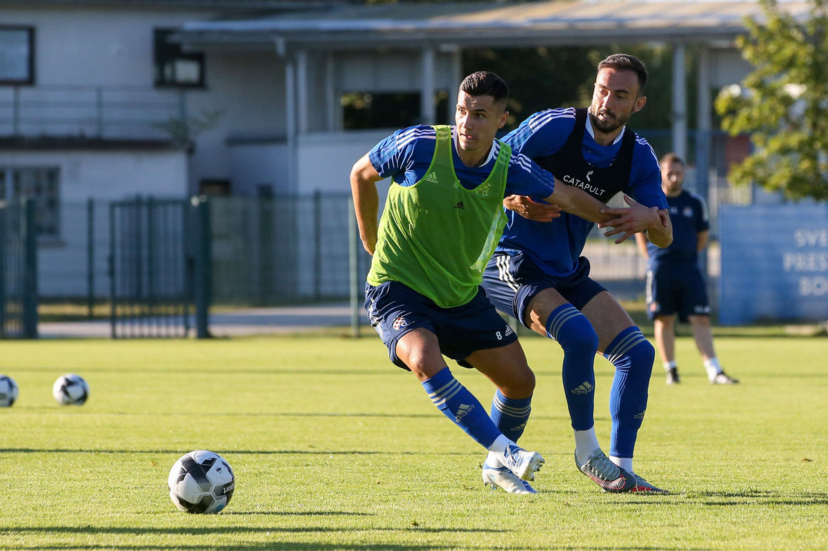 Tijek priprema plavih u Sloveniji